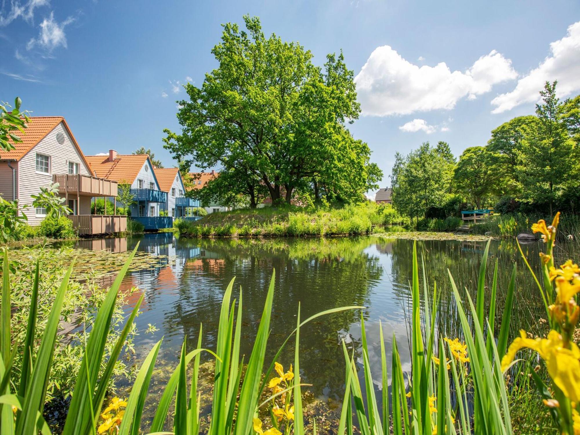 Holiday Complex Beech Resort Fleesensee G Hren Lebbin Göhren-Lebbin Exterior foto
